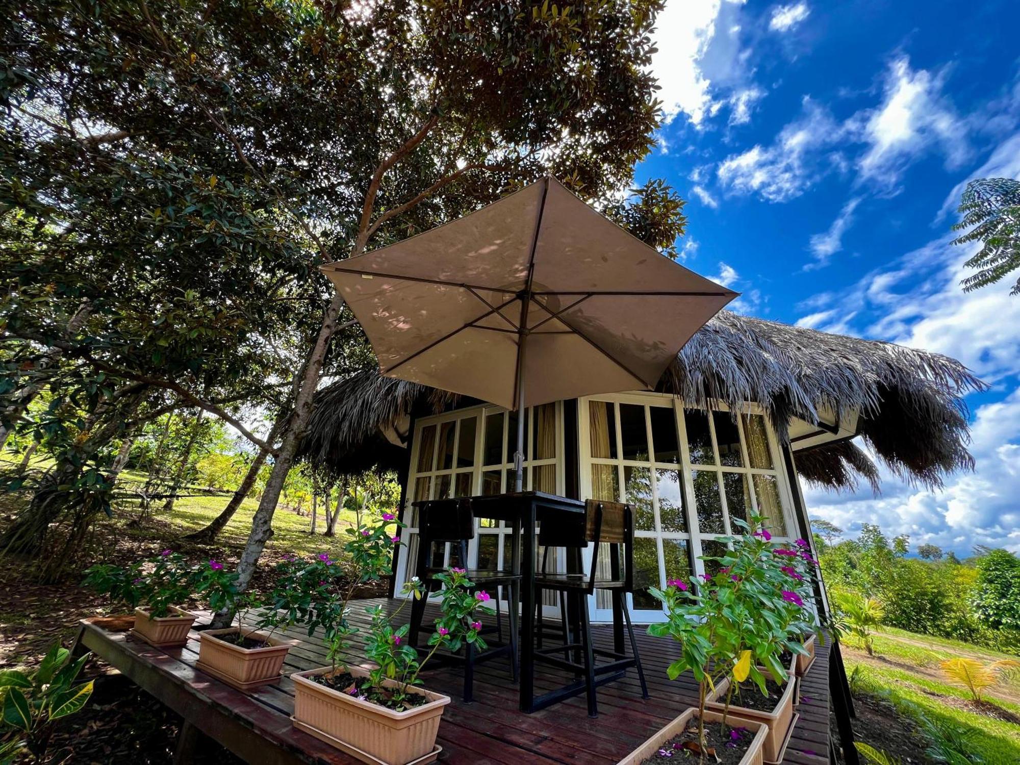 El Resort De Yanashpa - Tarapoto Kamer foto