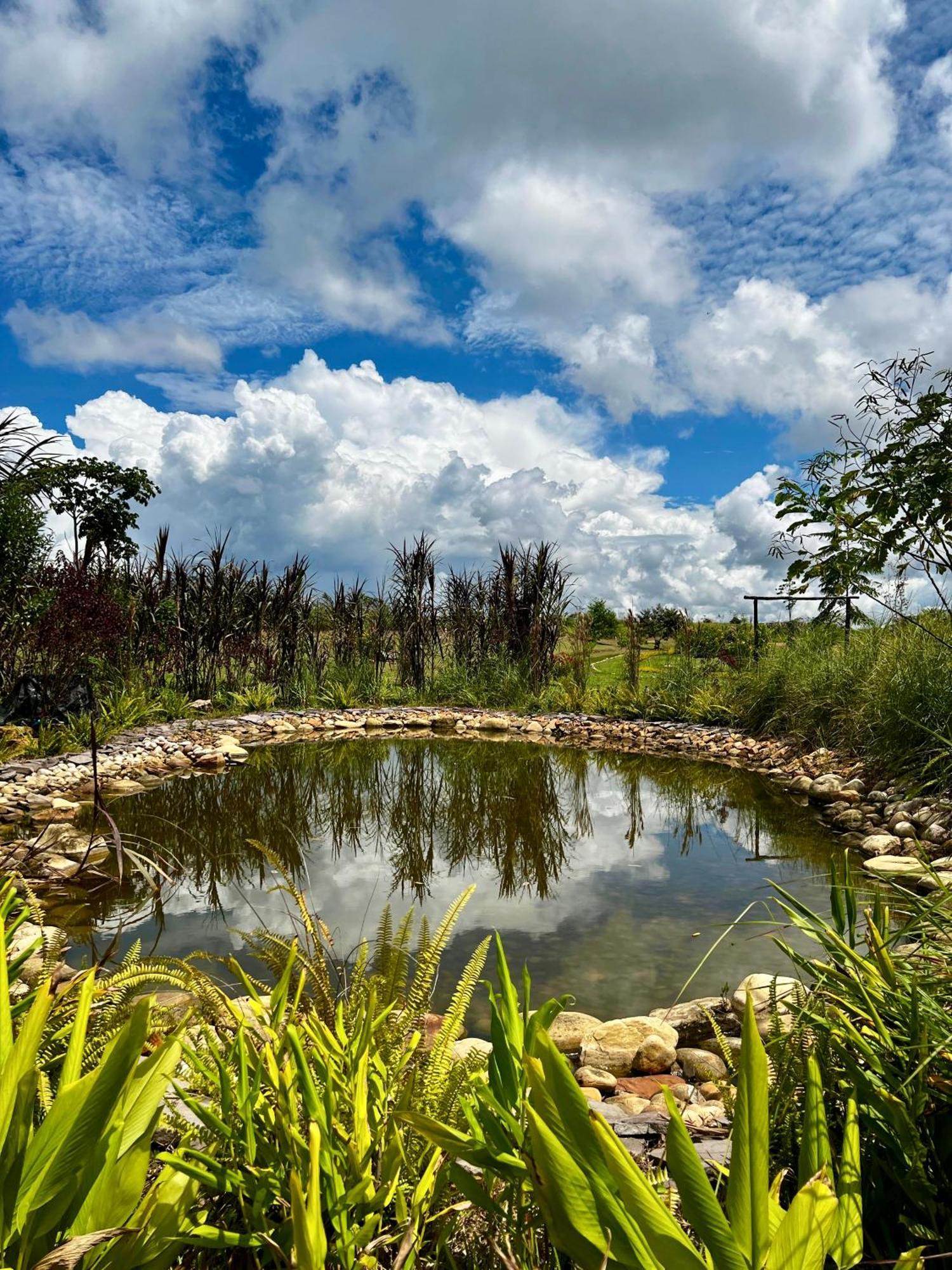 El Resort De Yanashpa - Tarapoto Buitenkant foto